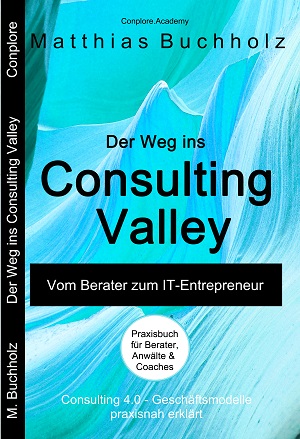 Buch Der Weg ins Consulting Valley - Vom Berater zum IT-Entrepreneur - von Matthias Buchholz