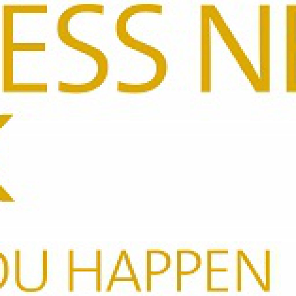 Business Network Logo